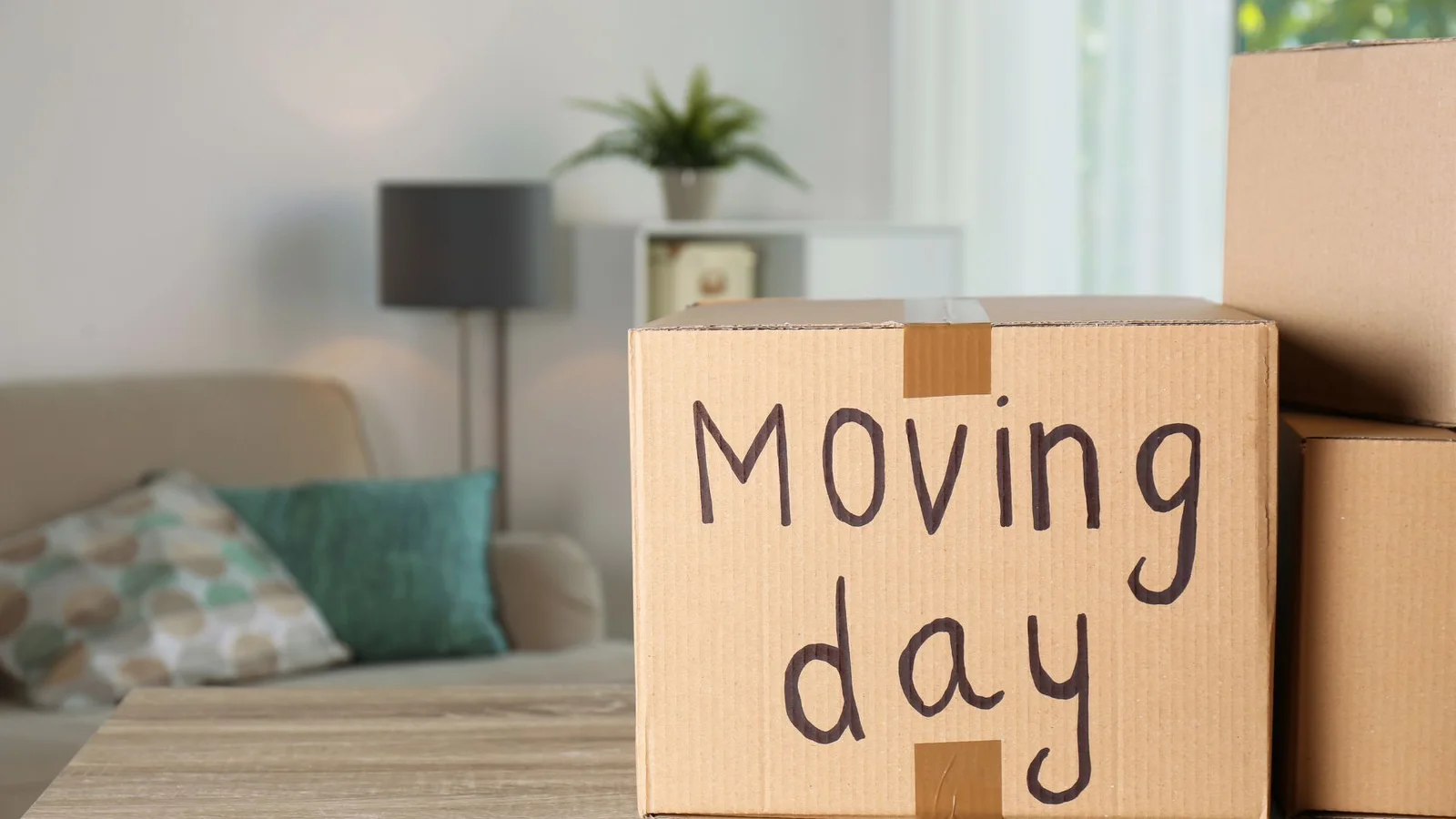 moving day